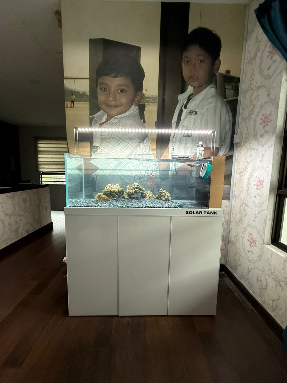 Beginner Salt Water Aquarium <<Solar Tank>>