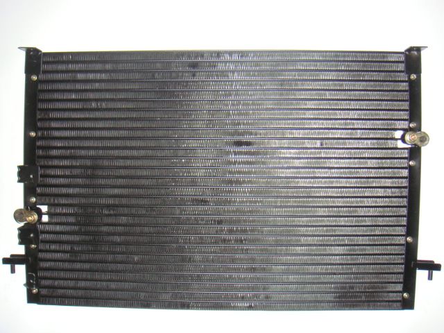 Tyt Estima '96 R12 Block (C) [SWJ-255]