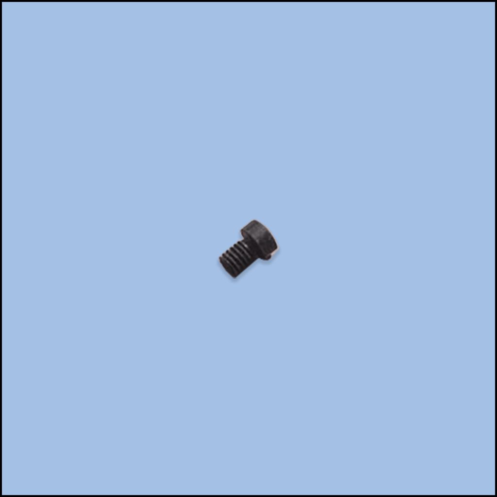 SCREW (84-3790-0)