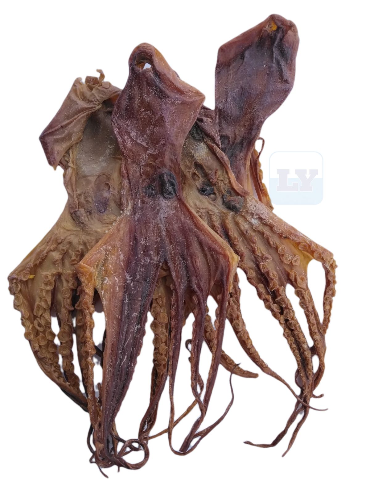 Dried Octopus 章鱼干