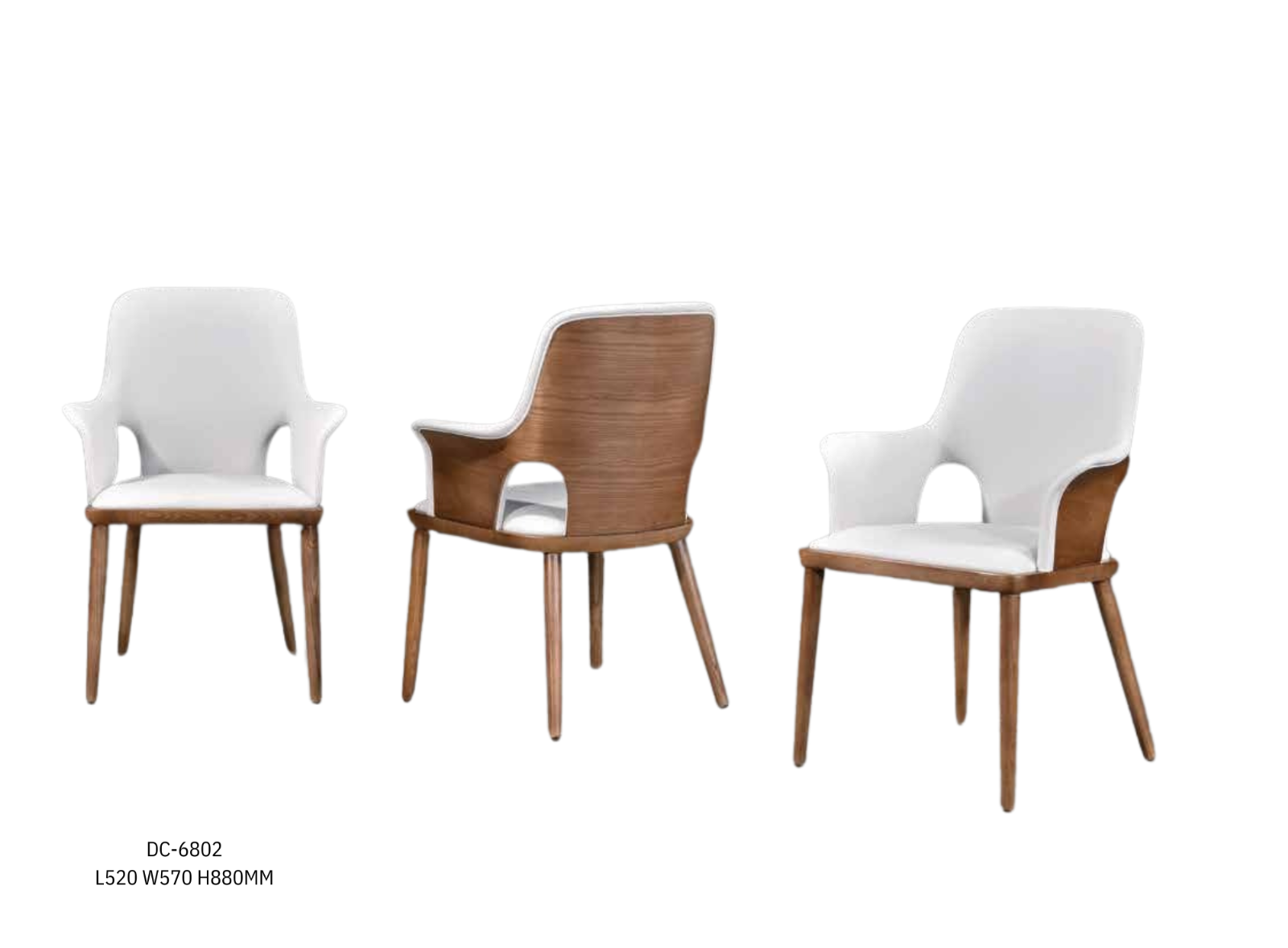 DINING CHAIR (PLZ DC-6802)