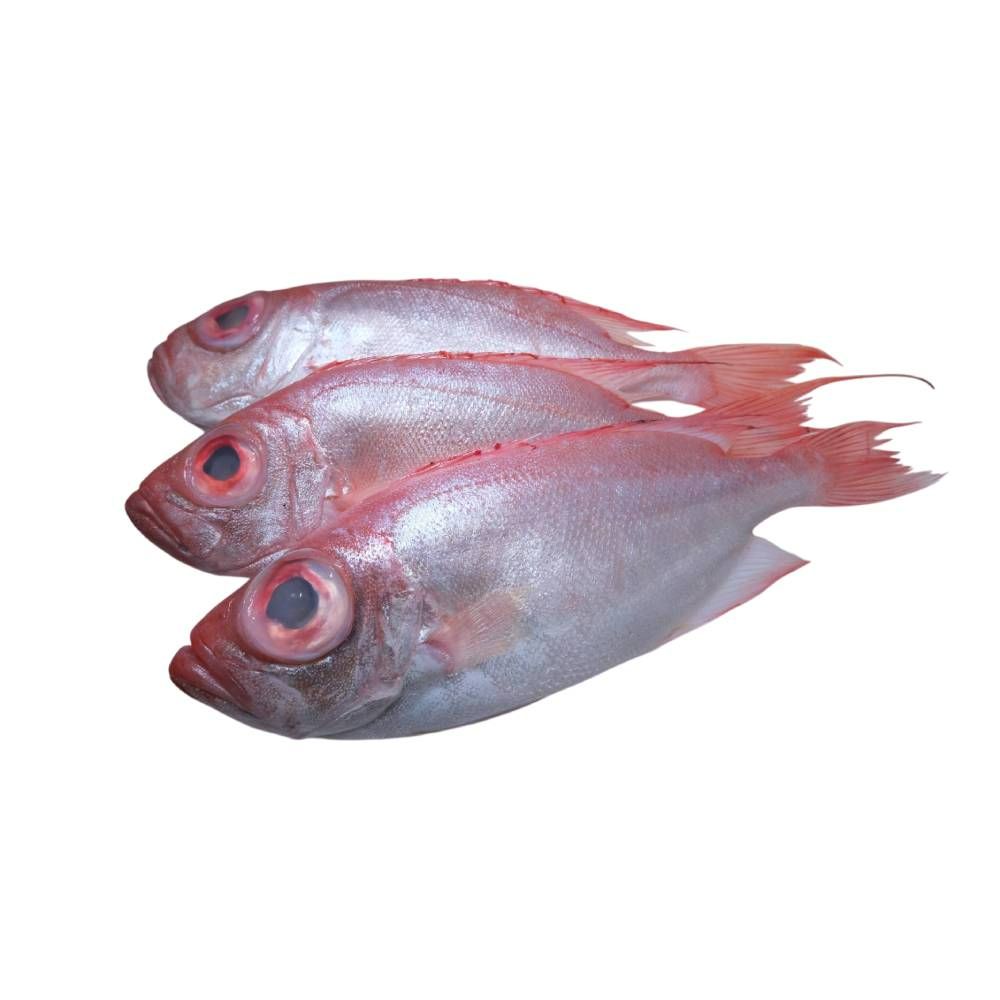Frozen Red Big Eye Fish