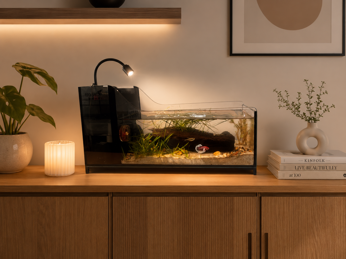 Substrate & Decor