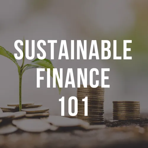 Sustainable Finance 101