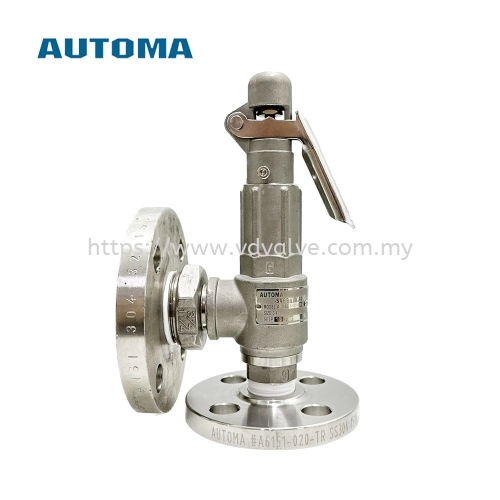 AUTOMA AT1000S Stainless Steel 316 Safety Valve with Lever Flanged End (Customizable Size)