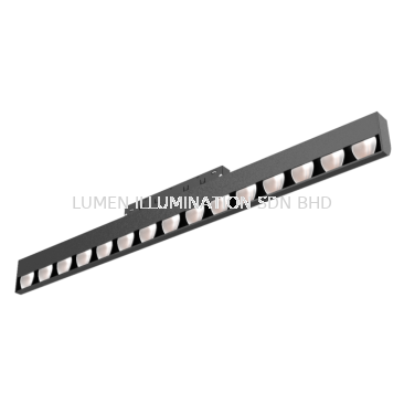 MAGNET TRACK LIGHT - M20GW MODULE (DC48V)