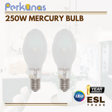 PERKUNAS 250W Mercury Bulb