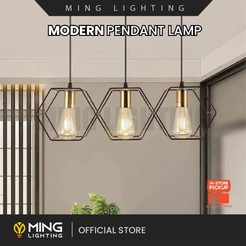 Modern Pendant Lamp 13661