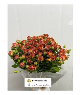 Buy Fresh Rose Spray Online | For Flower Arrangement