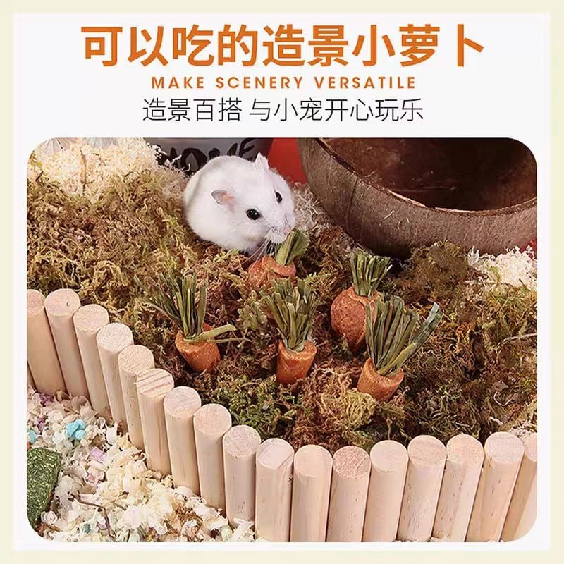 Hamster snack molar carrot mini carrot / mini strawberry / pumpkin Hamster Dental chew仓鼠造景磨牙小萝卜 小草莓 仓鼠磨牙南瓜