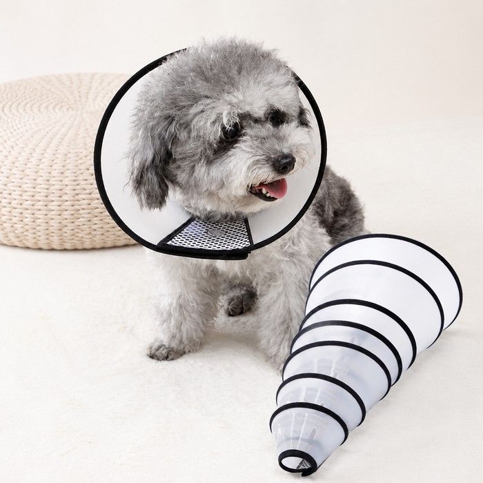 Pet Guard