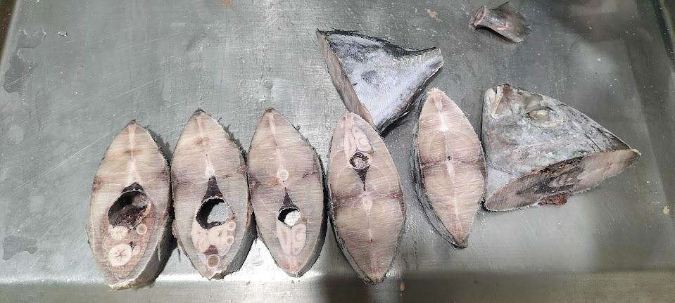 Frozen Nyok Supplier Malaysia | Cheong Vege