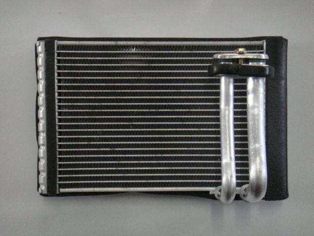Maz 8 (Rear) MPF (C) [SWJ-PZ-287]