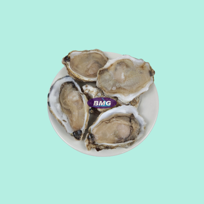 Oyster (Half Shell)