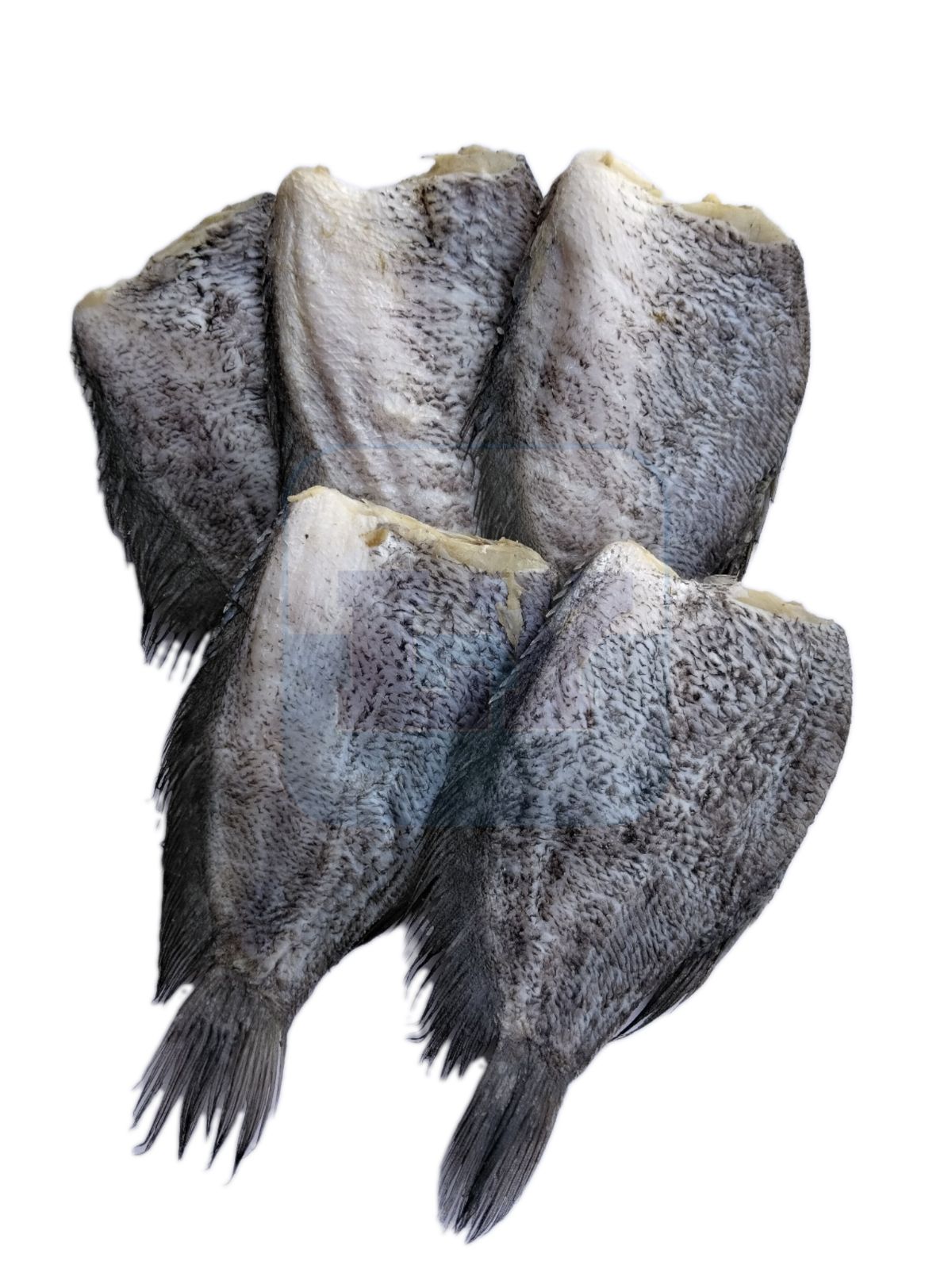 Ikan Masin Sepat XXL