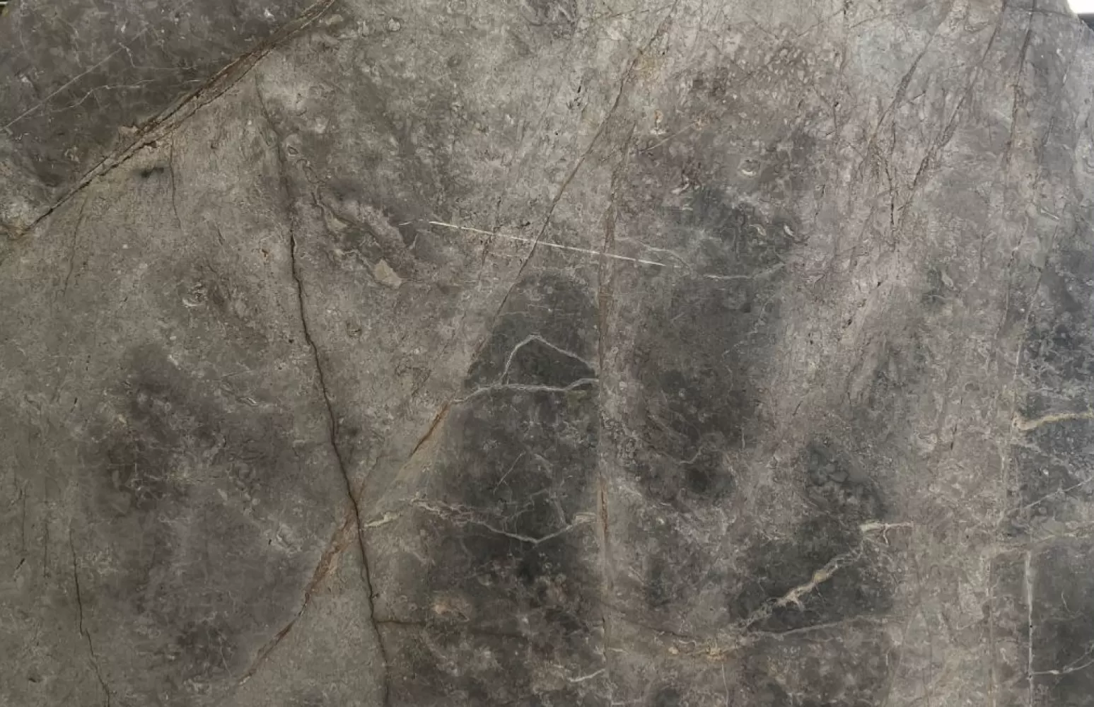 Fior di Bosco Marble