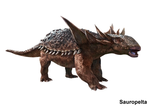 Sauropelta