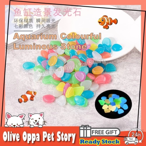  - Olive & Oppa Pet Story Enterprise