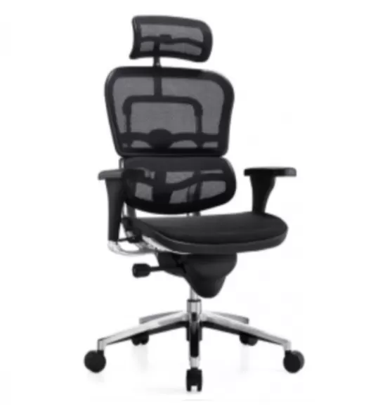 IP-M53 Office Ergohuman Ergonomic Chair Bukit Jalil | Adjustable Ergonomic Chairs | Kerusi Pejabat | 办公椅 | 人体工学椅 SEBERANG JAYA | GEORGE TOWN | JURU | PENANG | BUTTERWORTH