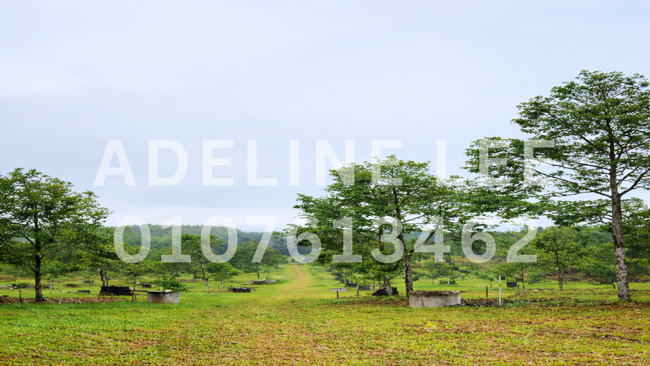 Ulu Choh Freehold Industrial Land for Sale | 11 Acres Industrial-Zoned Land Near Senai Airport