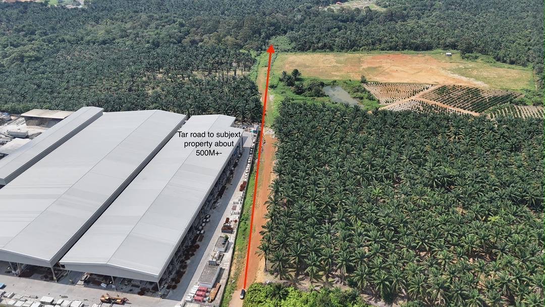 Jalan Ulu Pulai Agriculture land For Sale