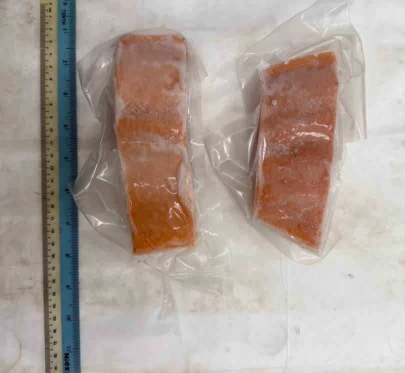 Salmon