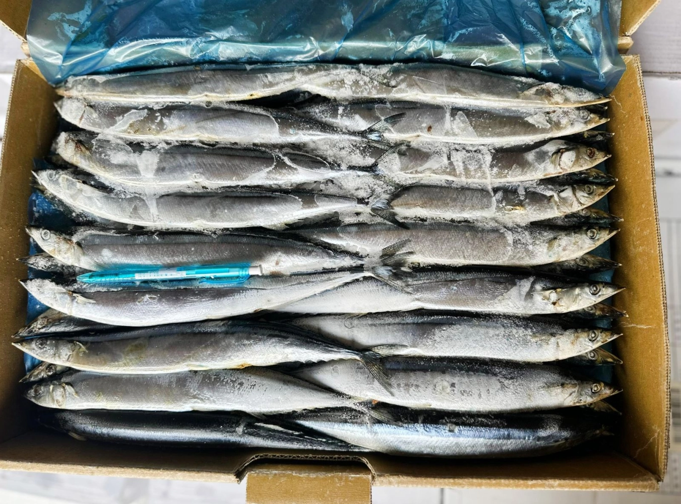 Sanma Fish Italian/French Ingredients Skudai, Johor Bahru (JB ...