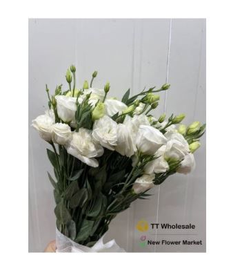 Order Fresh Lisianthus Flowers – Eustoma in White, Pink, Purple & More