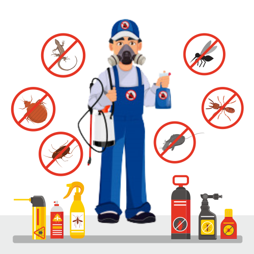 Pest Control Service