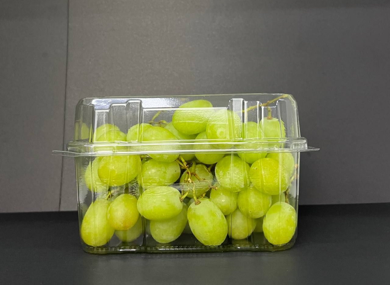 FRUIT CONTAINER :  LH 850