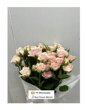 Buy Fresh Rose Spray Online | For Flower Arrangement