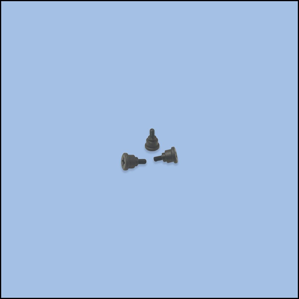 SCREW (206S20006)