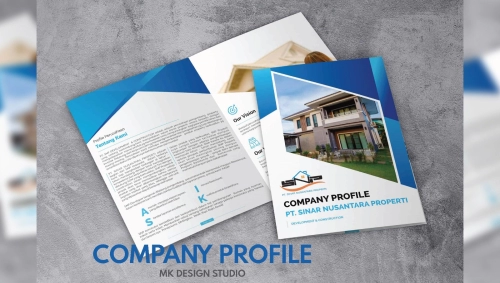 Company profile