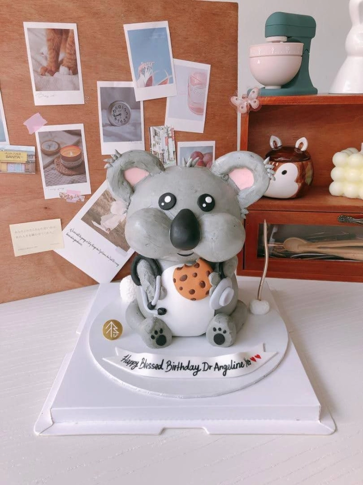 Doctor Koala Bear Cake