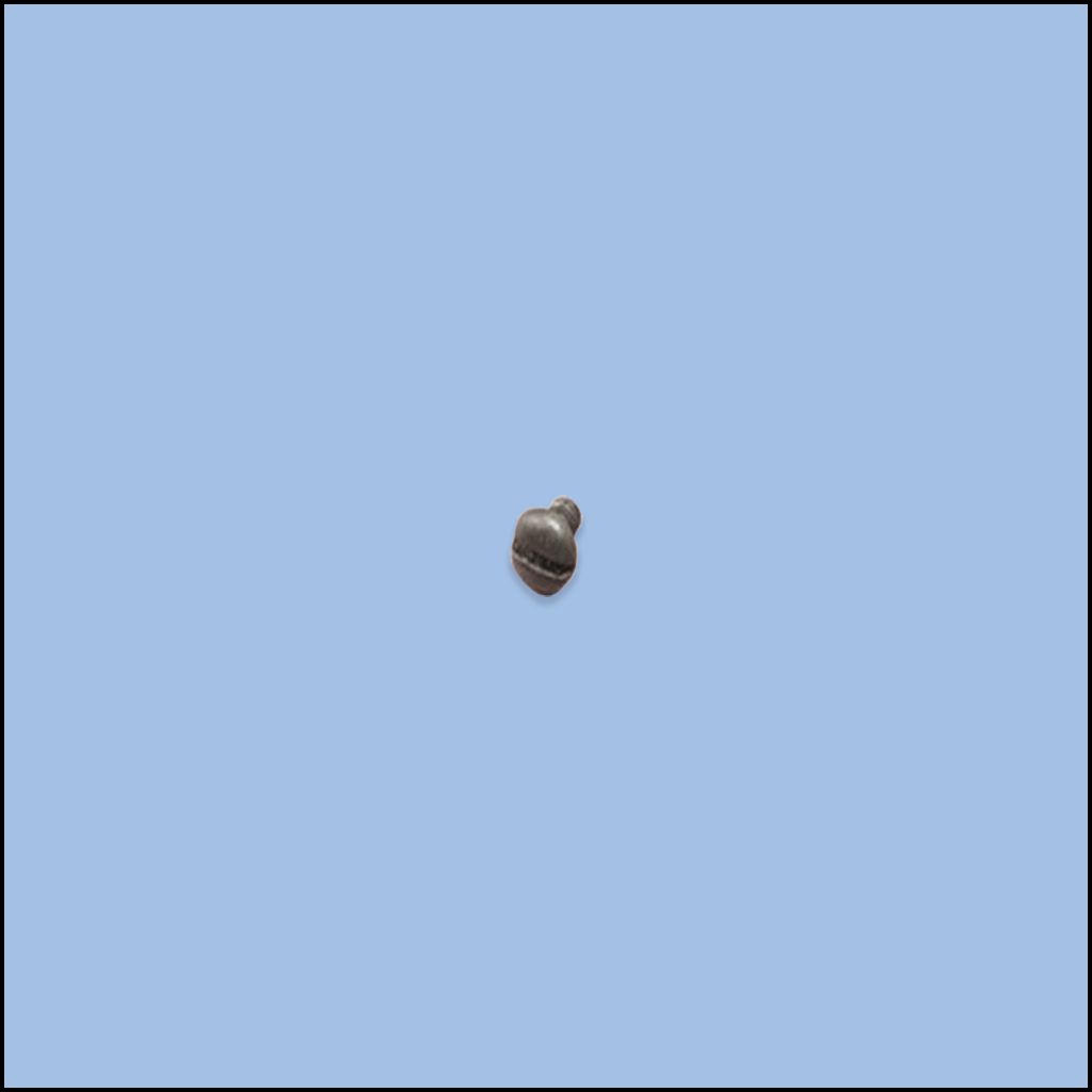 SCREW (WS-027)