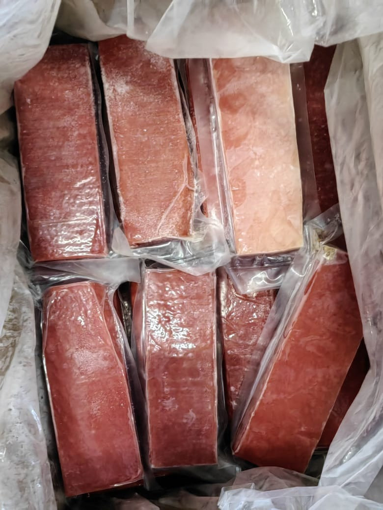 Tuna otoro