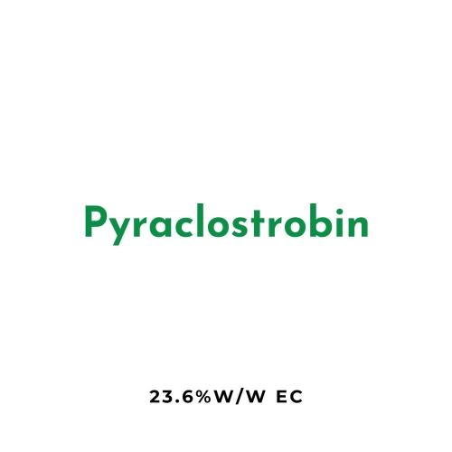 Pyraclostrobin 23.6% w/w EC