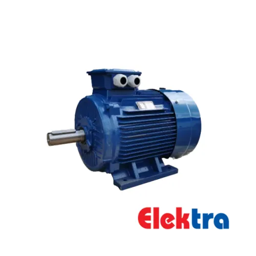 Elektra Motor IE2