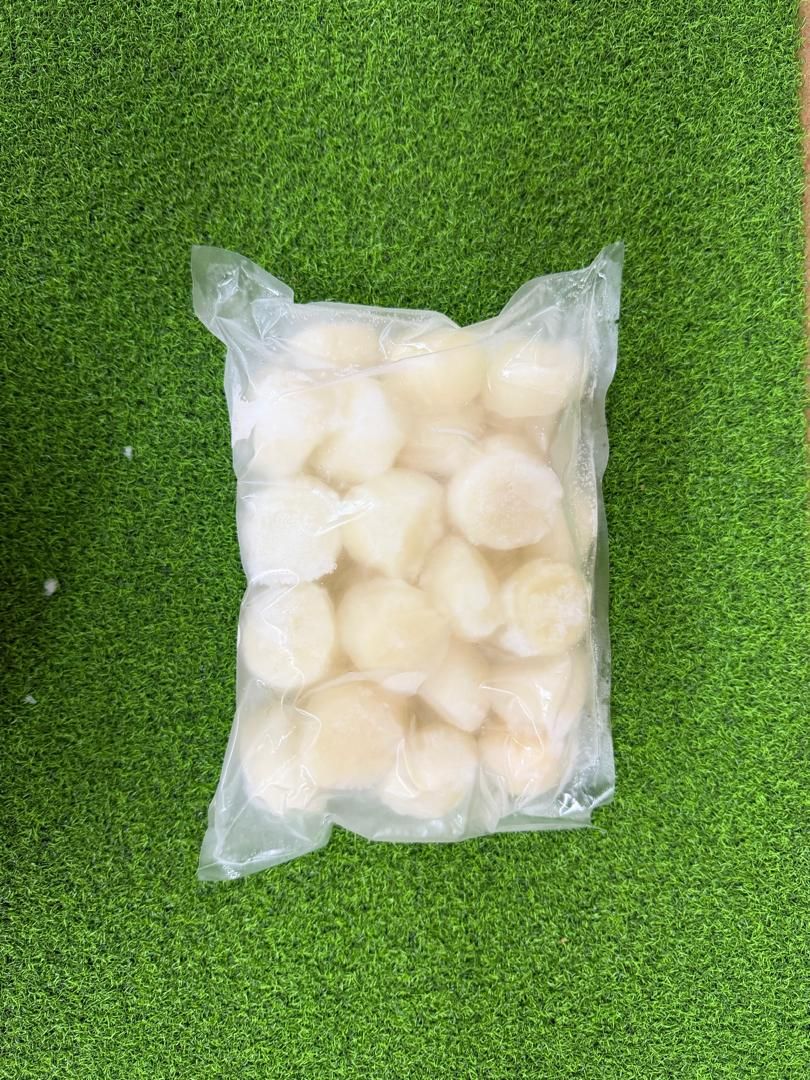 Scallop 10/20