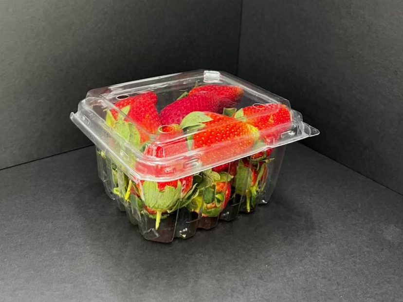FRUIT CONTAINER : FC 110