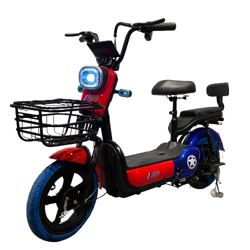 E Bike SW2000