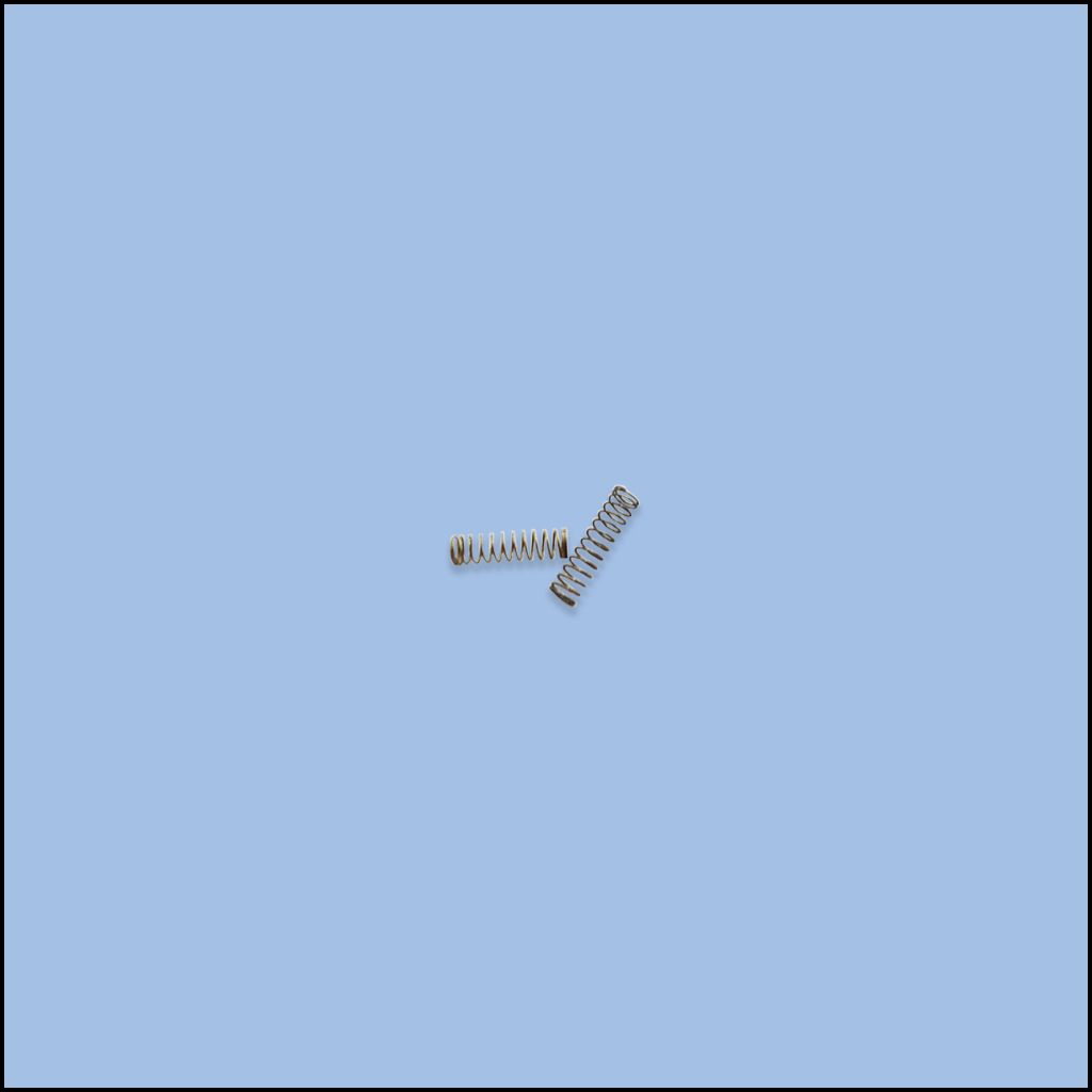 PLUNGER SPRING (110-20609)