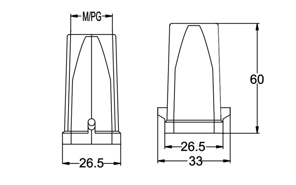 H3A.P-T-2B-M20/PG21