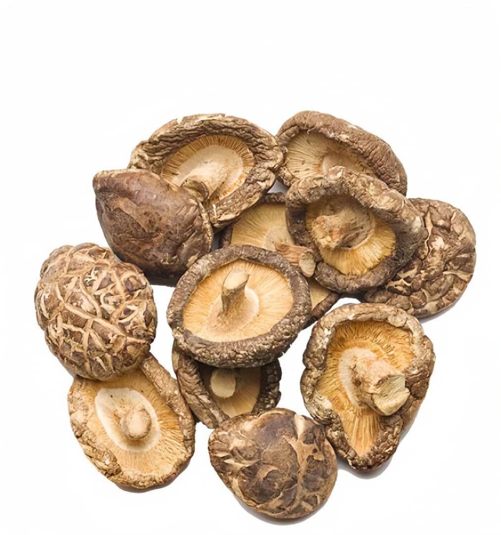 TEA FLOWER MUSHROOM 茶花菇