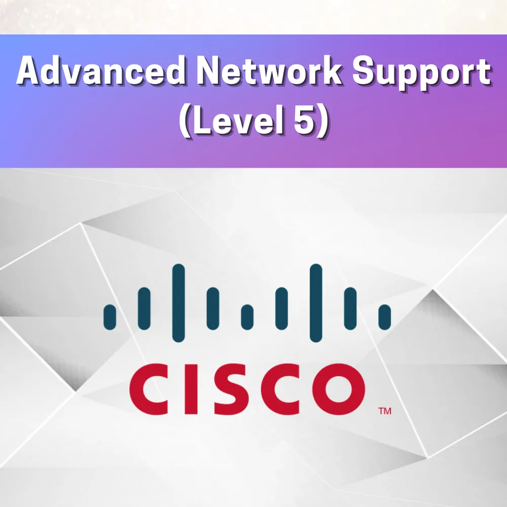 Advanced Network Support I (Level 5)