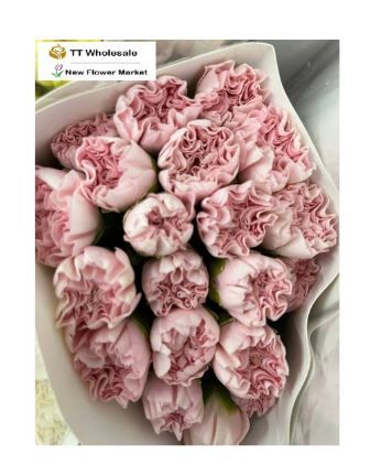 Fresh Carnations Delivered – Farm-Direct, Handpicked Flowers