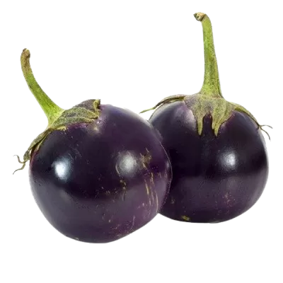 Round Eggplant