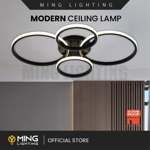 Modern Surface Ceiling Light 12691