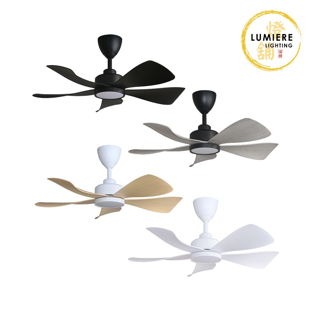 Alpha Fan HANI-5B/36 LED