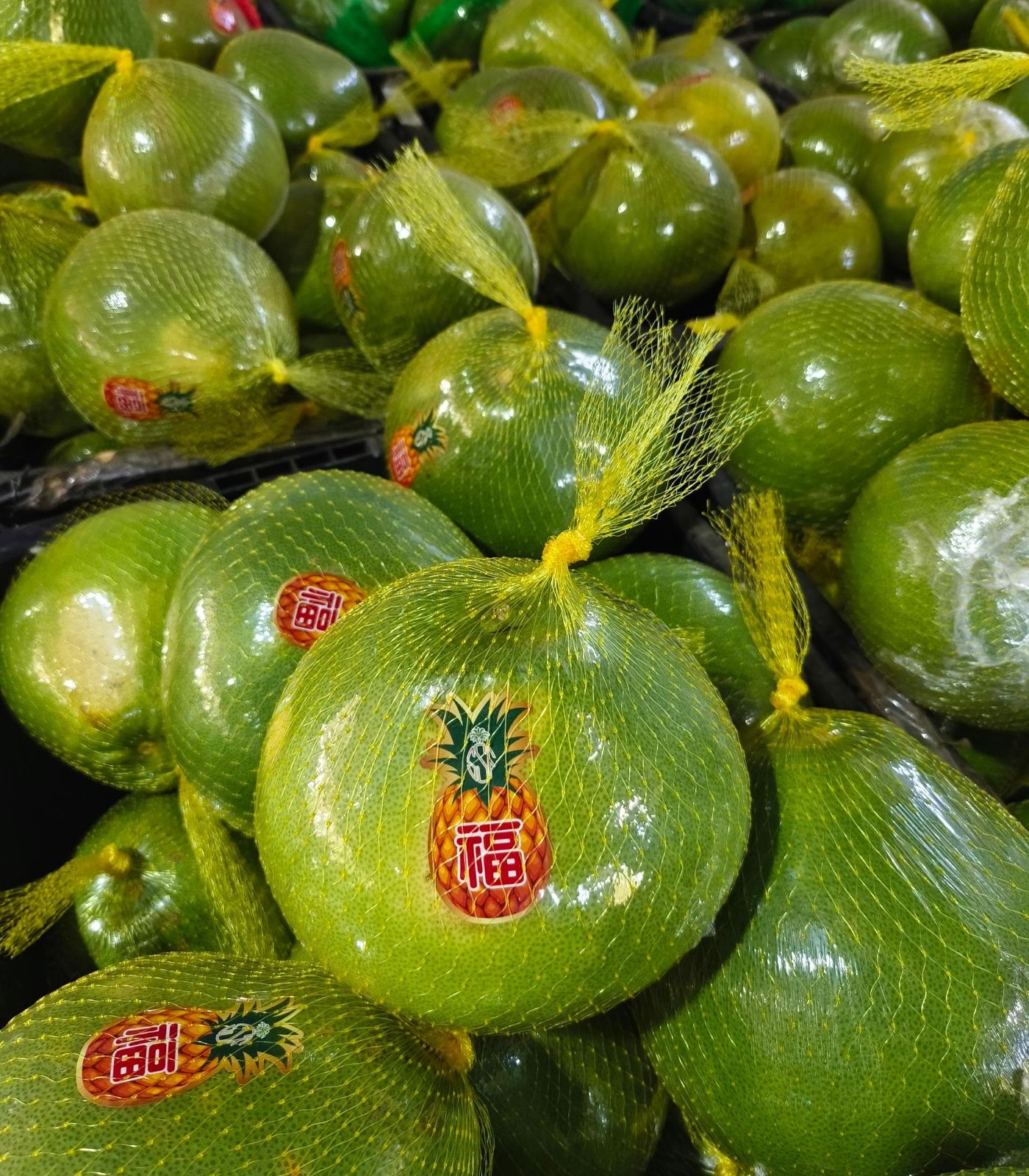 Pomelo Ipoh (CTN)